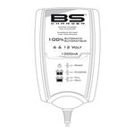BS Charger BA10 User Manual And Manual