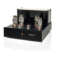 Black Ice Audio Fusion F100 Owner's Manual