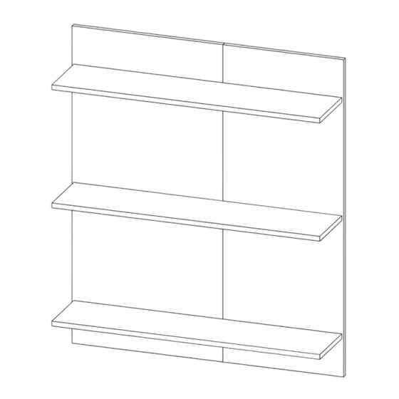 Interline LT-P2 Manuals