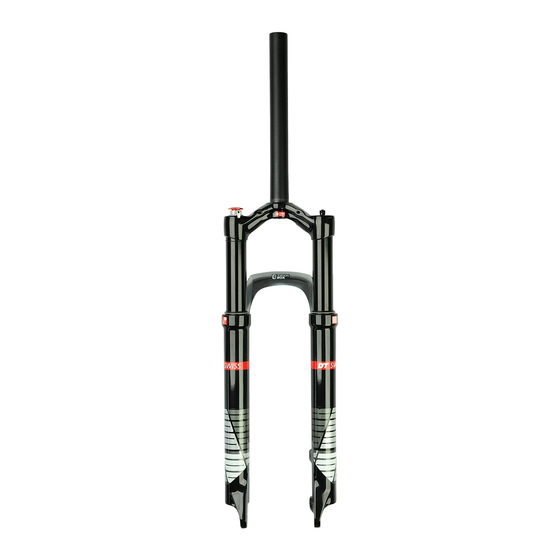 DT SWISS Forks ER Instruction Manual