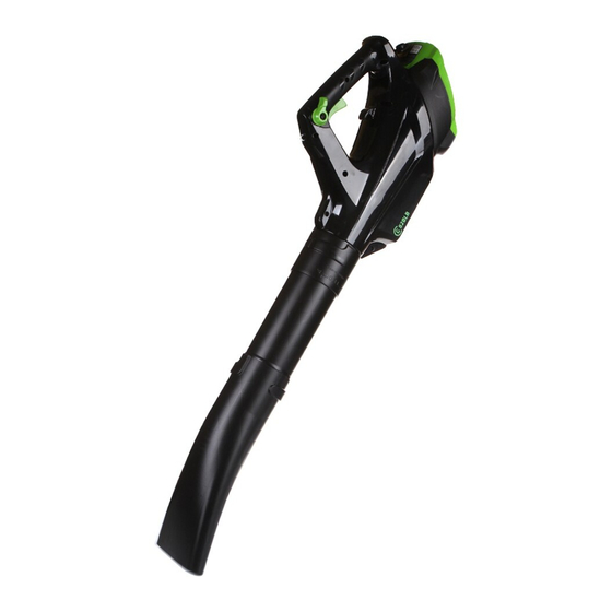 GreenWorks 2401207 User Manual