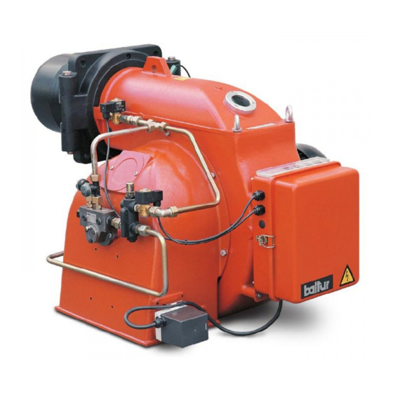 baltur BT 350 DSG Manual User Instructions