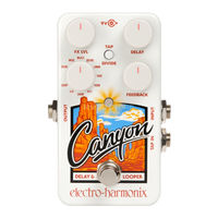 Electro-Harmonix Grand Canyon Manual