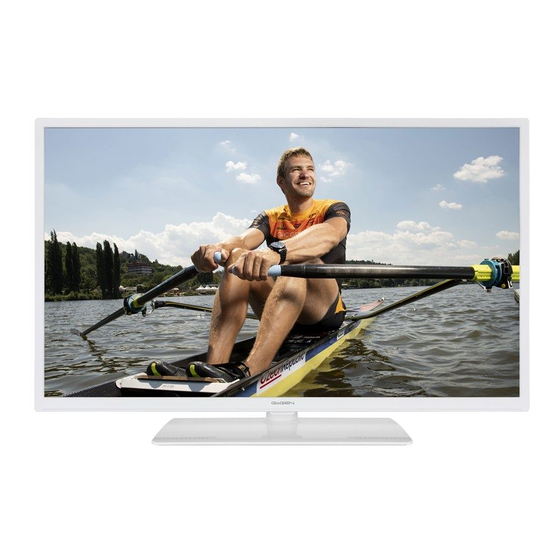 Gogen TVH32R640STWEBW Instruction Manual