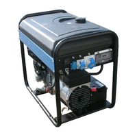 SDMO Diesel 15000 TE Instruction And Maintenance Manual
