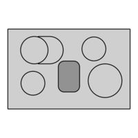 Lynx Induction hob Instructions For Use Manual