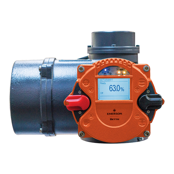 Emerson Bettis RTS FL Series User Instructions