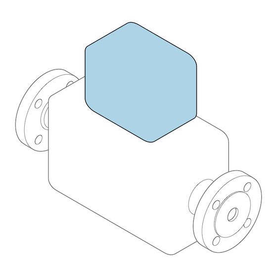 Endress+Hauser Proline 200 Brief Operating Instructions