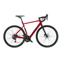 Wilier TRIESTINA HYBRID MOVE FAST Technical Introduction Manual