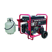 All-Power APGG10000GL Owner's Manual