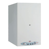 Fondital Nias Dual BTFS 24 Installation, Use And Maintenance Manual