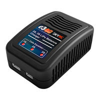 Skyrc SK-100081 User Manual