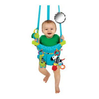 Bright Starts Spring 'n Bounce Deluxe Manual