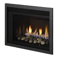Regency Fireplace Products LRI3E-LP1 Owners & Installation Manual