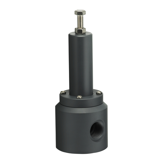 PLASTOMATIC RVT Series Installation And Maintenance Instructions