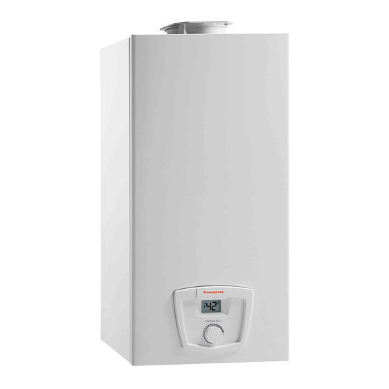 Immergas CAESAR ECO 11 Instructions And Warnings