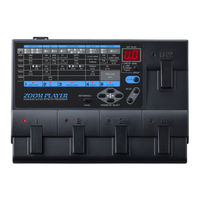 Zoom 2020 Operation Manual