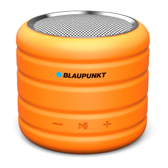 Blaupunkt BT01OR Owner's Manual