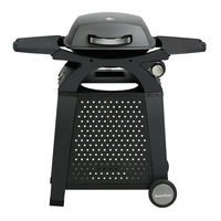 Master cook SRPGT19002 User Manual