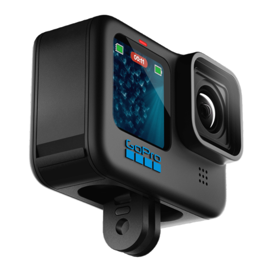 GoPro HERO 11 BLACK Advanced Settings