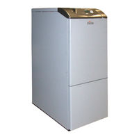Ferroli PEGASUS D Ki 100 Instructions For Use Manual