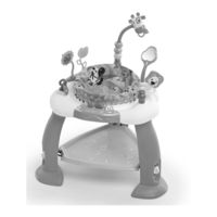 Bright Starts Bounce Bounce Baby 60245 Manual