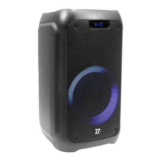 BoomToneDJ TRAVELER 300 User Manual