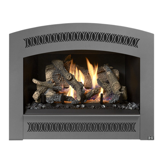 FireplaceXtrordinair FPX 564 Brochure & Specs