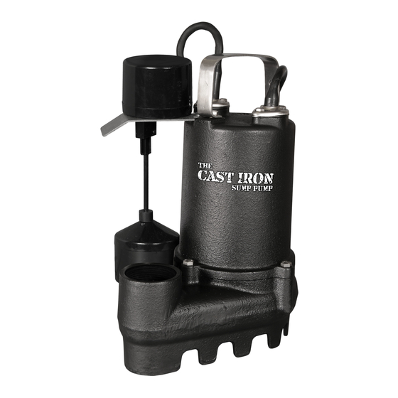 Glentronics Cast Iron CIS-33V Instruction Manual & Safety Warnings