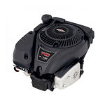 Briggs & Stratton 100000 Operating & Maintenance Instructions