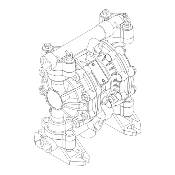 Graco D5B Instructions Manual