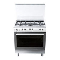 General Gas CR6060 Instructions And Advice For Installing, Using And Servicing