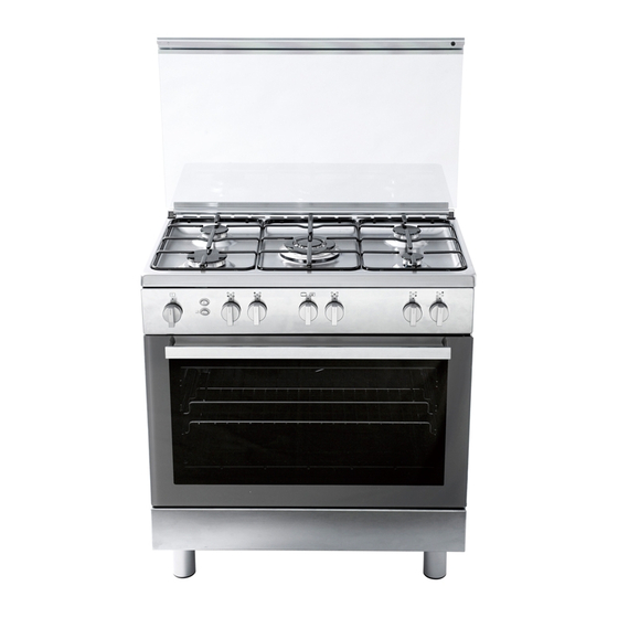 General Gas CR6060 Instructions And Advice For Installing, Using And Servicing