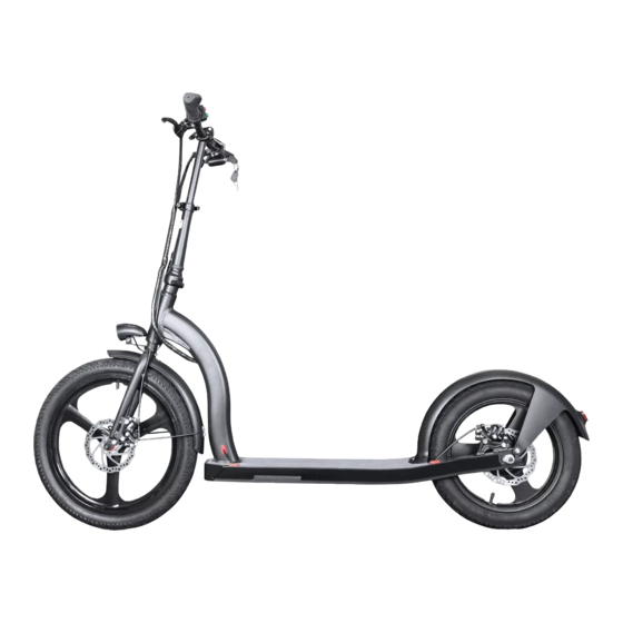 Eco-Flying H100 Electric Scooter Manuals