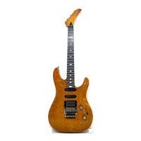 Peavey Destiny Custom Operating Manual