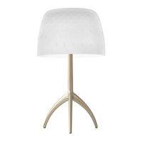 FOSCARINI Lumiere piccola 307470 Manual