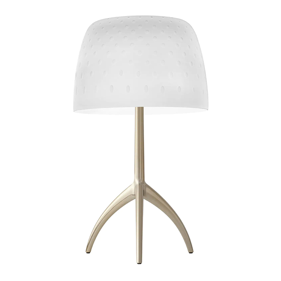 FOSCARINI Lumiere piccola 307470 Manual