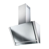 Foster 4000 MIRROR 2444090 Instruction On Mounting And Use Manual