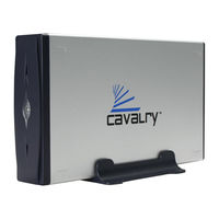 Cavalry CAXE Series User Manual