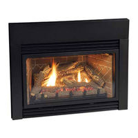 White Mountain Hearth DV25IN33L Installation Instructions And Owner's Manual