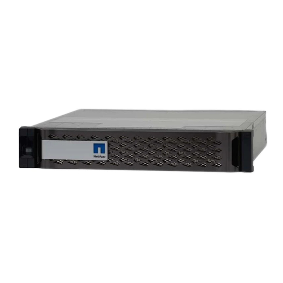 NetApp FAS Manual