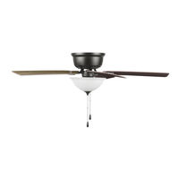 Patriot Lighting ALSTON II 20851 Owner's Manual