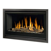 Bellfires UNICA-2 90 Instructions For Use & Manual Daily Maintenance