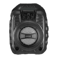 Earise T26 Pro User Instruction