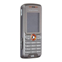 Sony Ericsson WALKMAN W200 User Manual