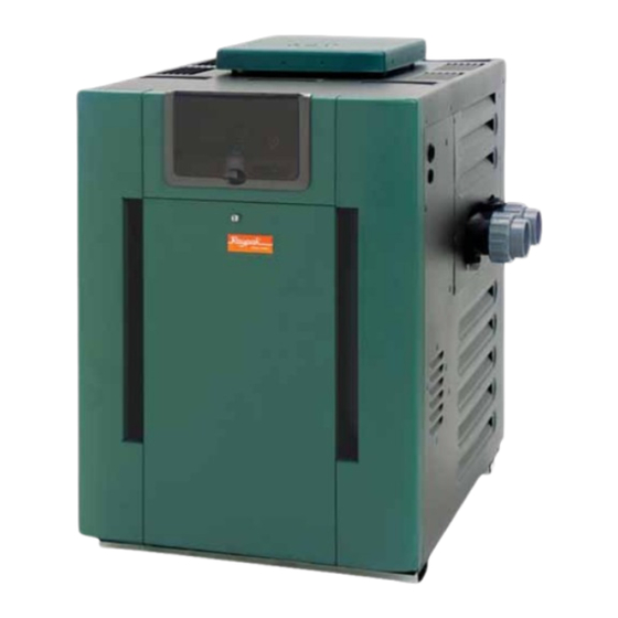 Raypak 207 Brochure & Specs
