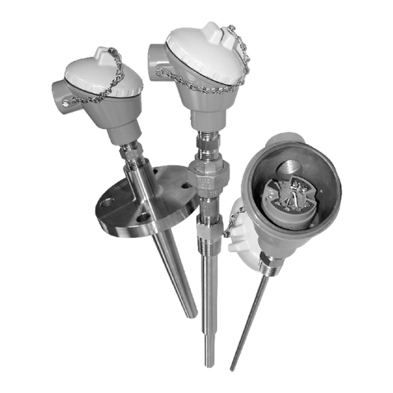 Endress+Hauser TH13 Technical Information