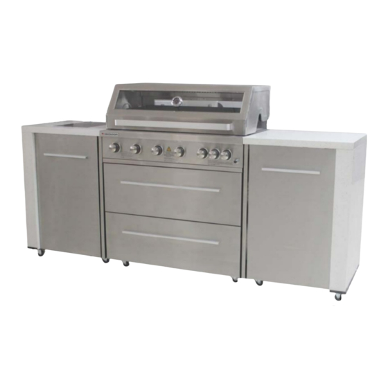 Matador 6 burner hooded boss bbq kitchen best sale