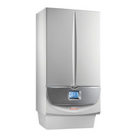 Immergas MAGIS VICTRIX ERP Instruction And Recommendation Booklet