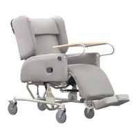 HealthCo Diana Deluxe Chair Bed User Manual